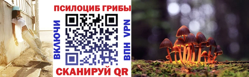 Псилоцибиновые грибы Psilocybe Купить Завитинск